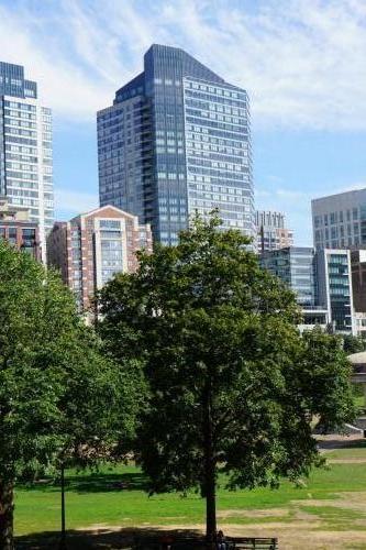 Grün vorne, Hochhäuser hinten