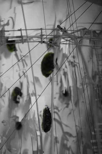 The Institute Of Contemporary Art