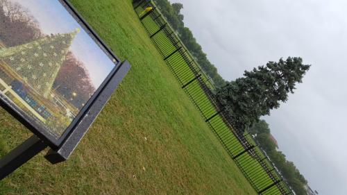 Der berühmte Baum in Washington...