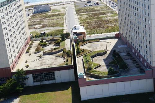 Mitten drin - ein grüner Garten auf dem Dach. 
