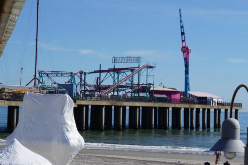 Crazy Mouse - mitten auf einem Steg :O