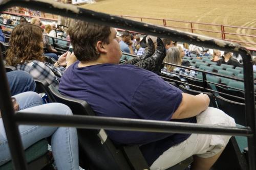 Ein mächtiger Bulle!