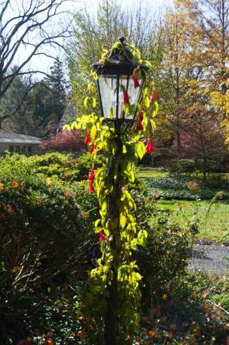 Hogwarts lässt grüßen!